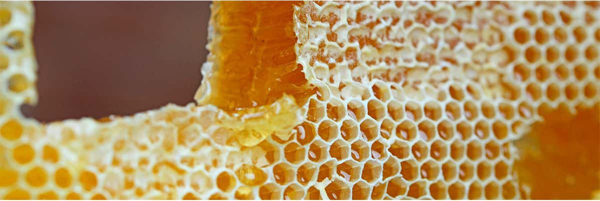 Comprar panal de abeja. Miel del parpalló  100% natural