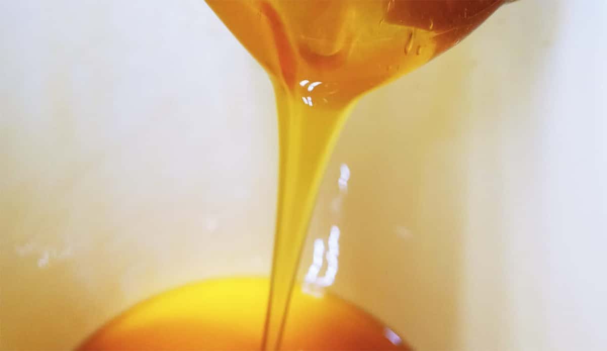 ¿Cuándo se ha visto esto?