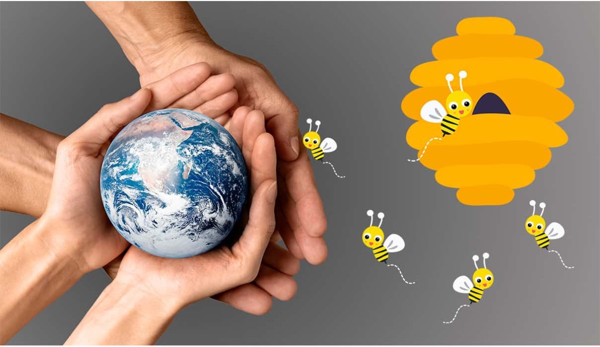 Las abejas están en serio peligro