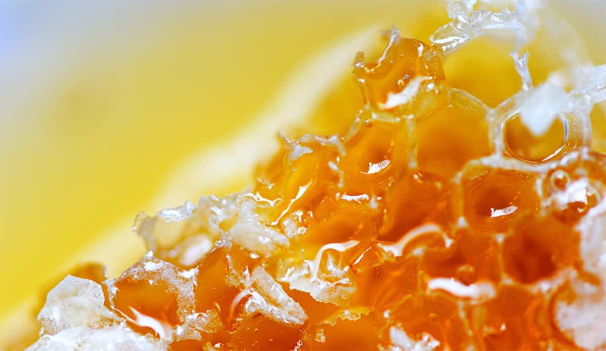 La cristalización de la miel ¿saludable? La cristalización de la miel ¿saludable?
